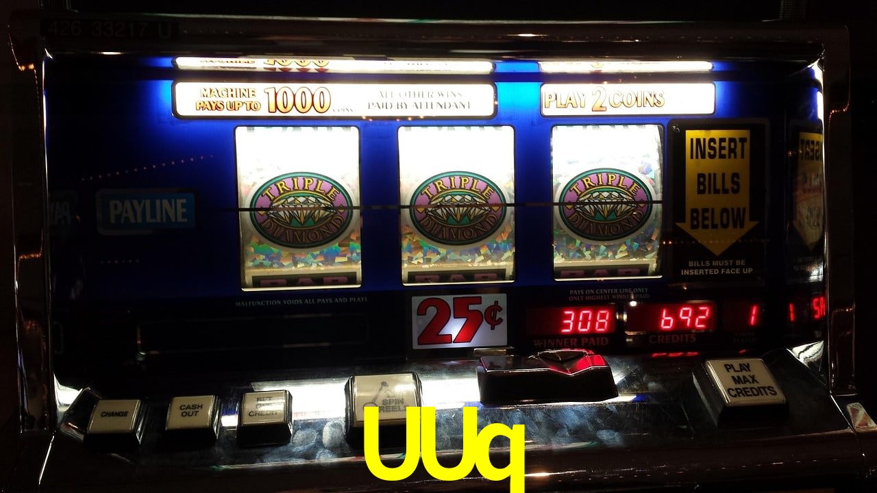 Experiência VIP UUq